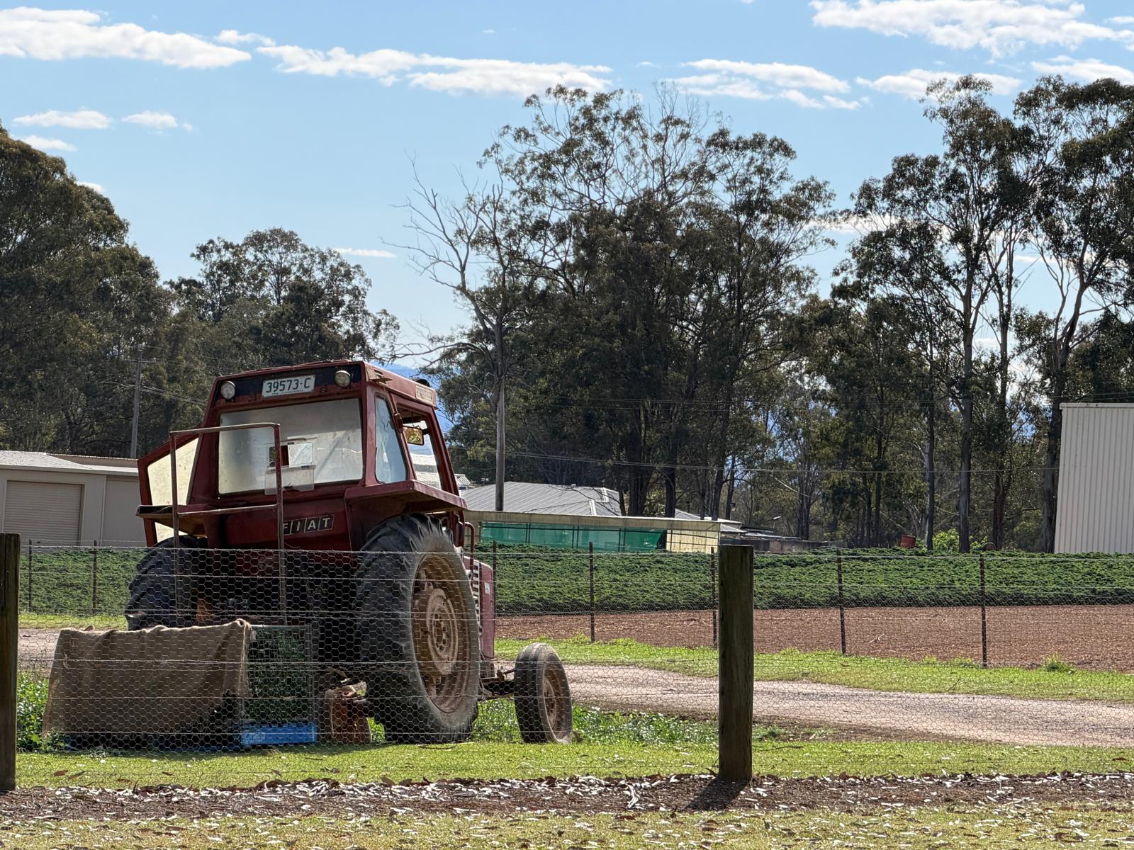 Old red tractor in the paddock next to the cafe